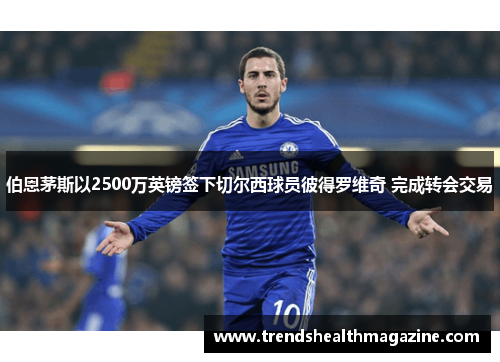 伯恩茅斯以2500万英镑签下切尔西球员彼得罗维奇 完成转会交易