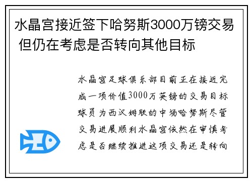 水晶宫接近签下哈努斯3000万镑交易 但仍在考虑是否转向其他目标
